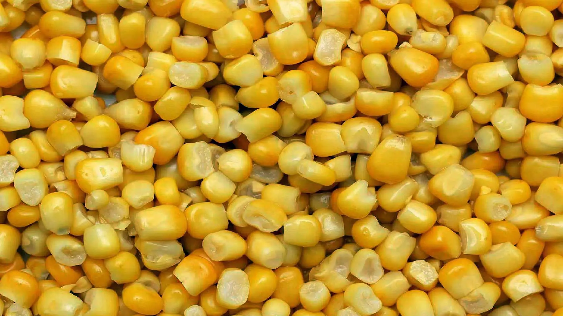 Corn
