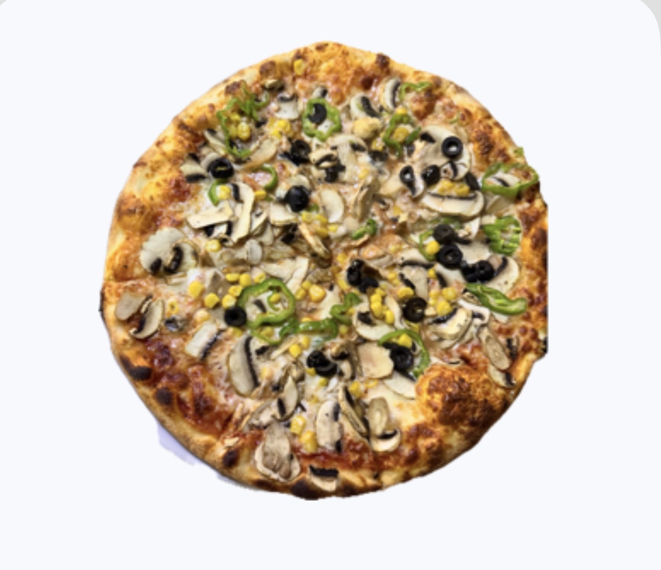 Vegetarian